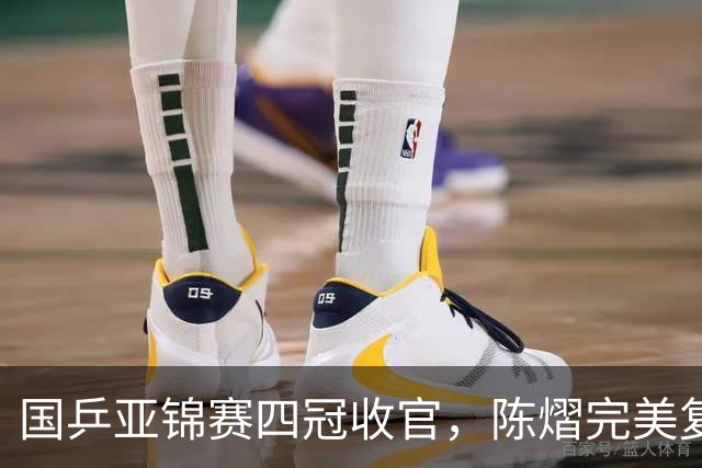 国乒亚锦赛四冠收官，陈熠完美复仇张本美和，林诗栋双线登顶，李天阳被让二追三